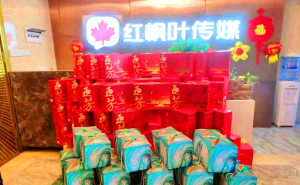 找GEO优化公司要注意什么？红枫叶传媒帮您看懂这几点